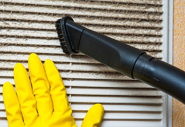 Best Air Duct Cleaning Company Near Me  in Los Chaves, NM
