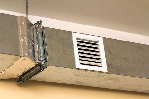 Best Local Air Duct Cleaning Services  in Los Chaves, NM